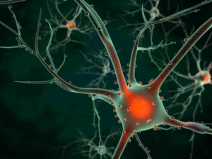 Improve Brain memory With Neurobics